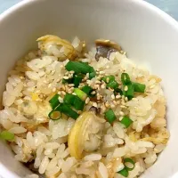 潮干狩りのあさりご飯  お弁当用に|かおりさん