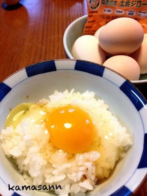 土佐ジローで、卵かけご飯|かまさん