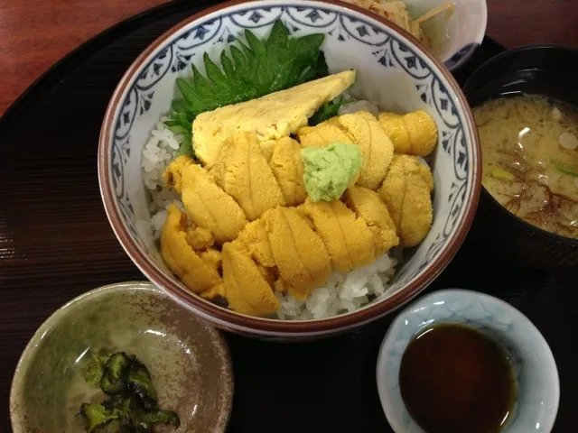 南三陸キラキラうに丼|ゆゆさん