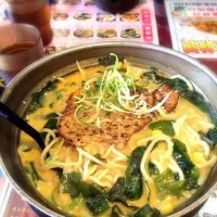 Snapdishの料理写真:博多咖喱肉排拉麵|毛仔さん