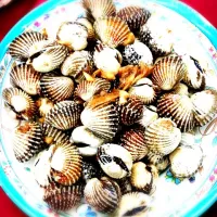 Vietnamese dish of seafood|Trúc-Khanh Hoang Nguyenさん