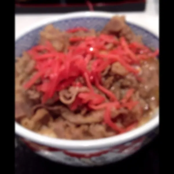 真夜中の牛丼、ウマシ！|takehisaさん