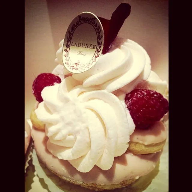 Rose Cake|Tameka Alexandraさん