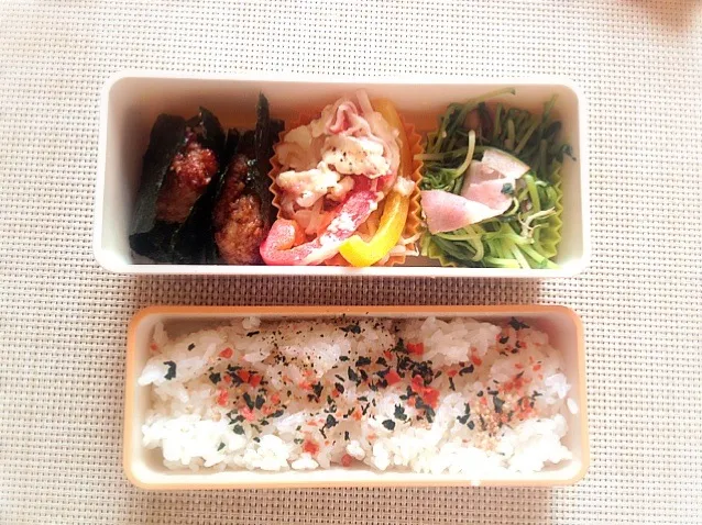 Snapdishの料理写真:本日のお弁当|satchさん