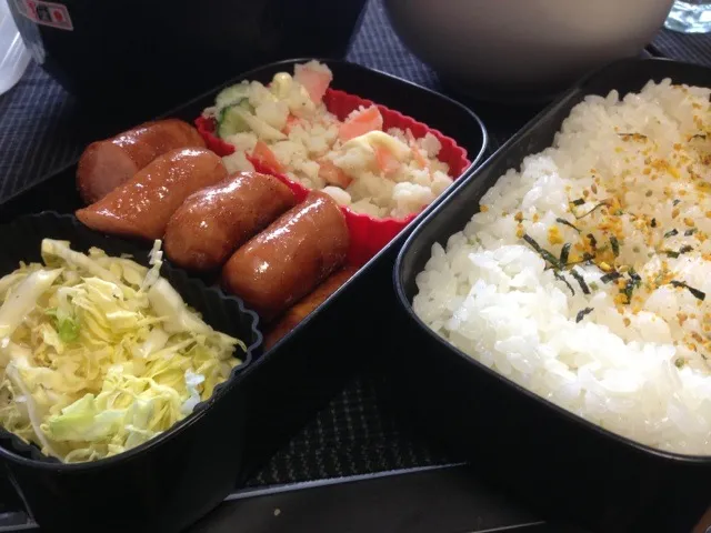 Snapdishの料理写真:適当お弁当。|対馬列島さん