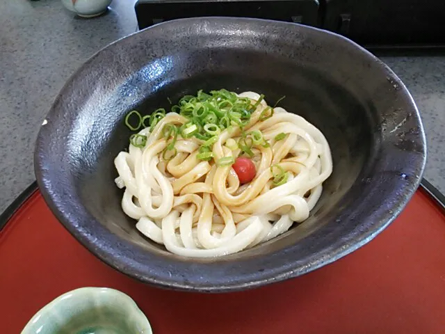 伊勢うどん|大石さん