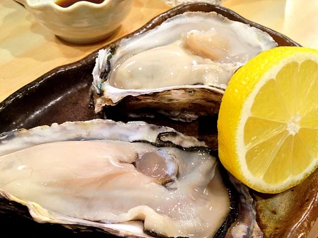 Fresh raw oysters|do dyuさん