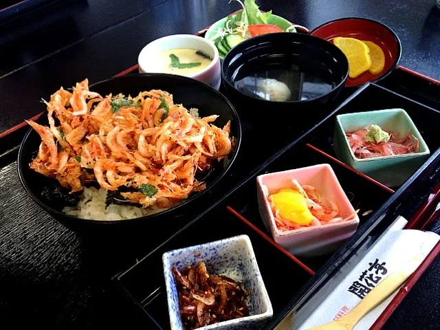 桜エビかきあげ丼|ハービーさん