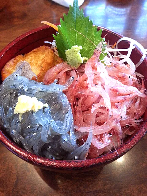 小田原漁村 生しらすと生桜えびの二色丼|じょうさん