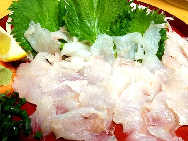 Snapdishの料理写真:釣魚料理  カサゴの刺身|シンリーさん