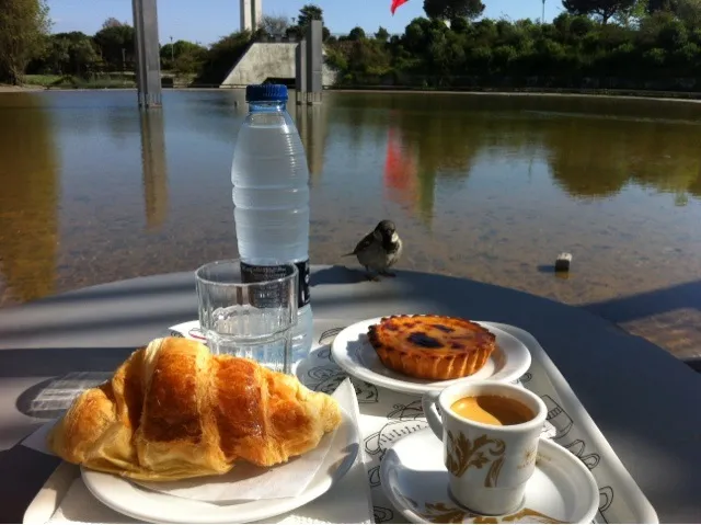 Snapdishの料理写真:Croissaint e pastel de nata|Fredさん