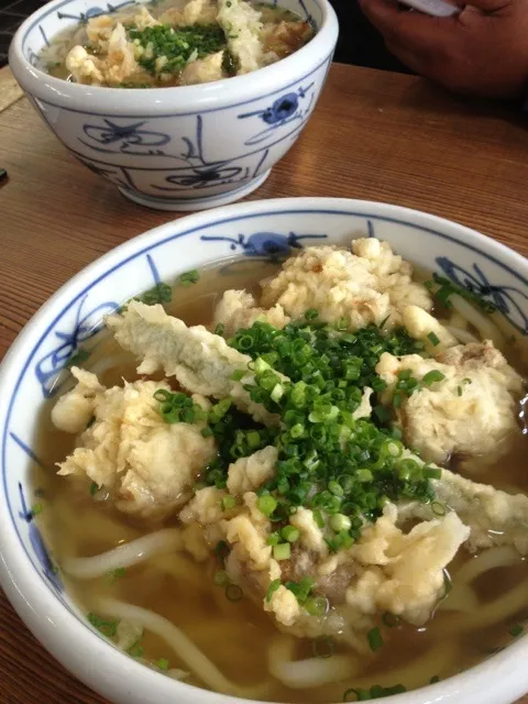 香川 源内のかしわうどん|まさゆうたんさん