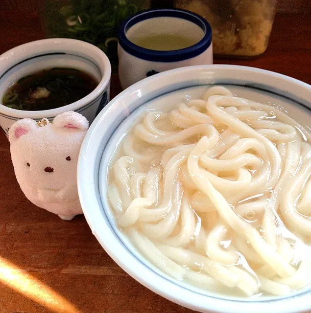 Snapdishの料理写真:讃岐うどん(^-^)釜揚げ|山根 明子さん