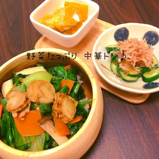 Snapdishの料理写真:野菜たっぷり中華丼♪|なつさん