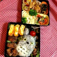 Snapdishの料理写真:トトロのお弁当