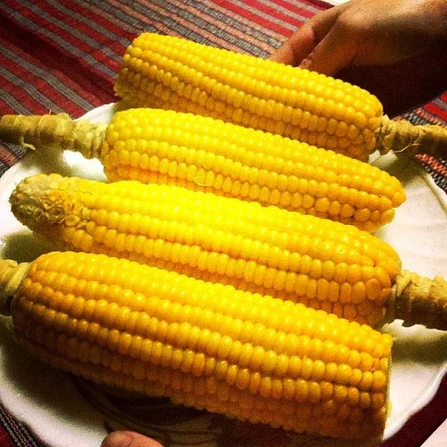 Sweet Corn..really nice 😊|angela angieさん