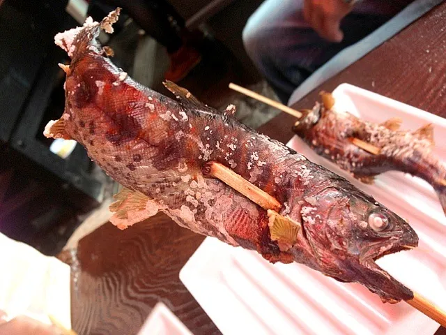 あまご塩焼き|虎キチ6さん