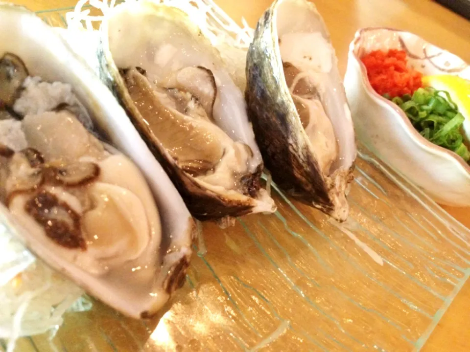 Tiny oysters|(=^x^=)さん