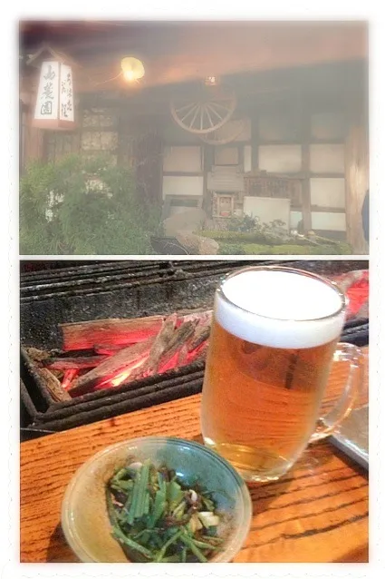 Snapdishの料理写真:Wild vegetable🌱山菜&Beer🍻✨|🌈Ami🍻さん