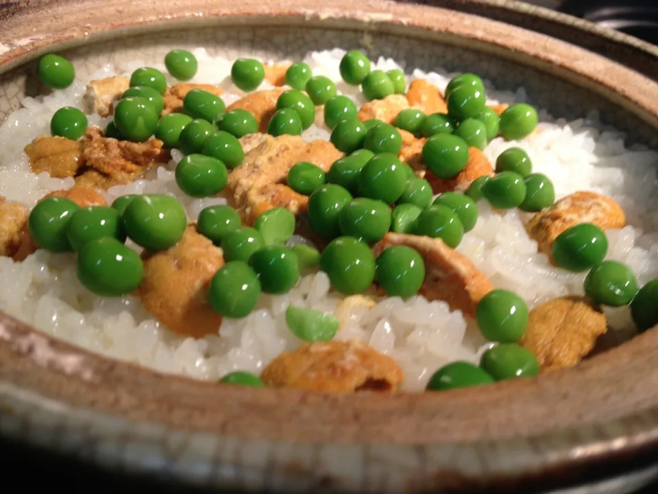 海胆豆土鍋御飯|炊かれたいオトコ おこん 小栁津さん