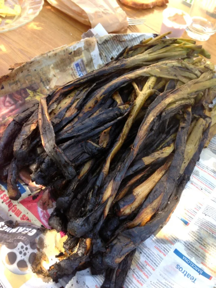 Calçots - a very catalana delicacy|Cynthiaさん