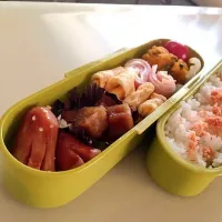 05.06 お弁当|さやなさん