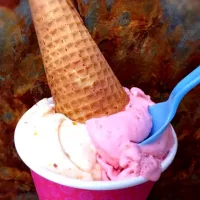 gajjar ka halwa (baby carrot pudding) and kulfi falooda (jelly, basil seed and rose) ice cream|okさん