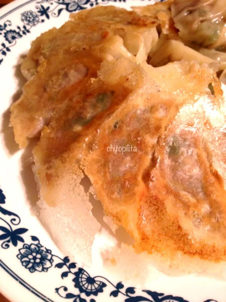 Snapdishの料理写真:Chinese dumplings - 羽根付焼餃子|chitopilitaさん