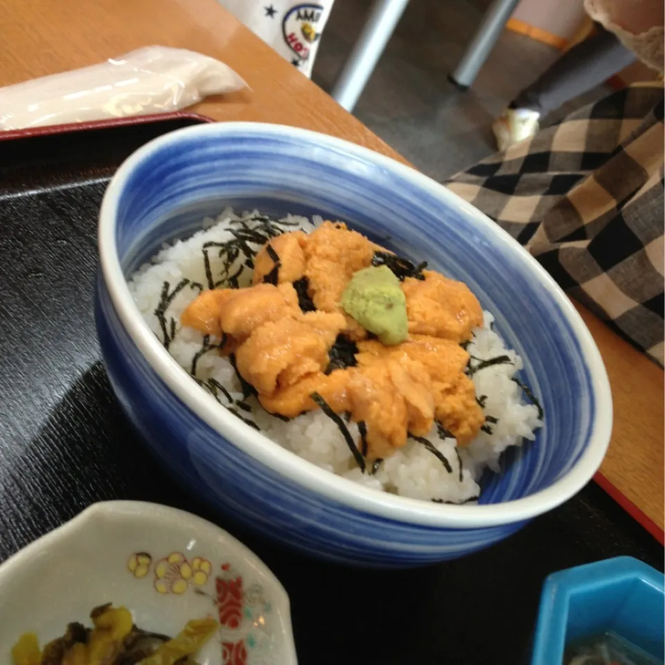 ウニ丼|おかちんさん