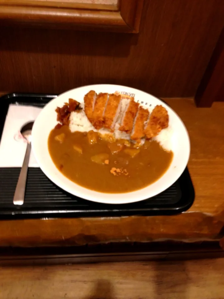 銀だこカツカレー|northさん