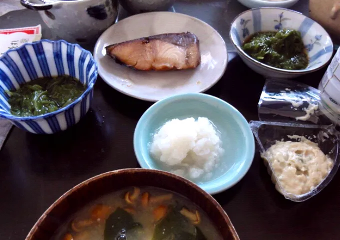 ブリの照り焼き&めかぶ&大根おろし&なめことワカメの味噌汁|まぐろさん