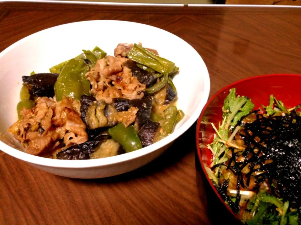 晩ご飯🍚茄子ブタピーマンの味噌炒め🍆水菜の和風サラダ🍲|つついなつさん