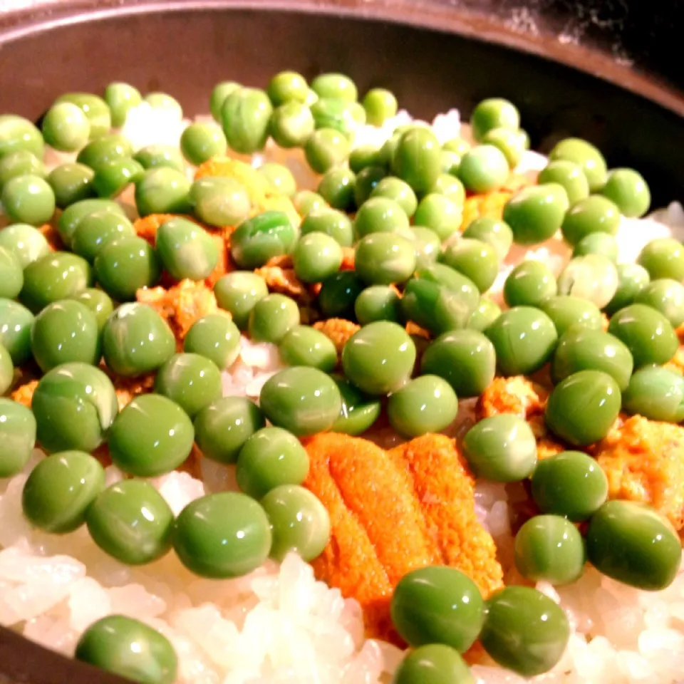 海胆豆土鍋御飯|炊かれたいオトコ おこん 小栁津さん