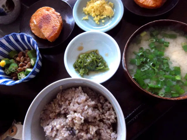 さつま揚げ&納豆&めかぶ&刺し身|まぐろさん