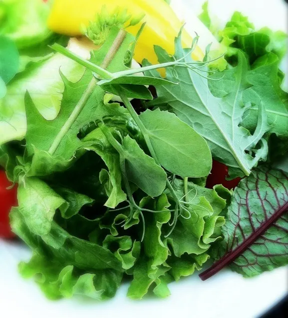 Spring green salad|Peter Simonさん