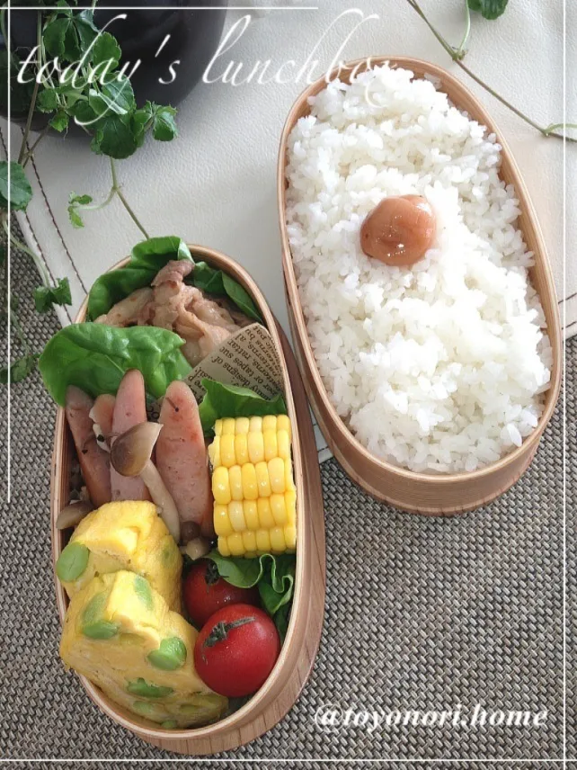 Snapdishの料理写真:今日のパパ弁★キヨシュンさんの卵焼き(๑´ڡ`๑)|トヨノリさん