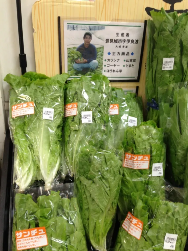 沖縄県産野菜‼NOW‼|dabasyuさん