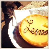 Lemon tart|Beaver Lemonedさん