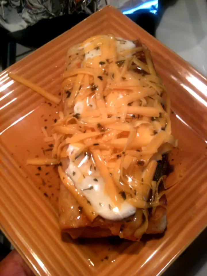 Fried Been & Rice Burrito with Sour Cream and Jalapeño Lime Pepper Sauce|Weldon H Dunston IIIさん