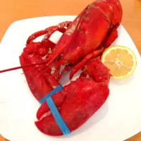 Snapdishの料理写真:Lobster|Carine Rafieさん