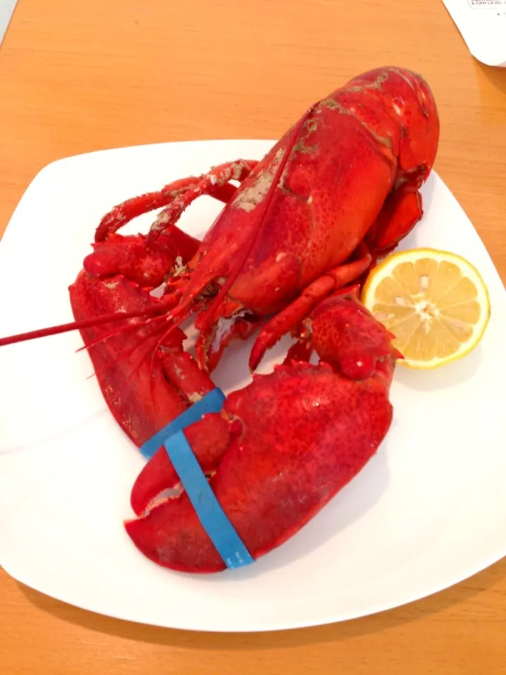 Snapdishの料理写真:Lobster|Carine Rafieさん