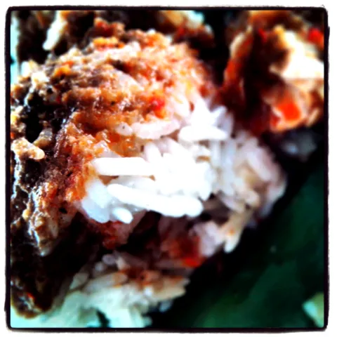 Snapdishの料理写真:nasi dagang from malaysia..|syadirさん