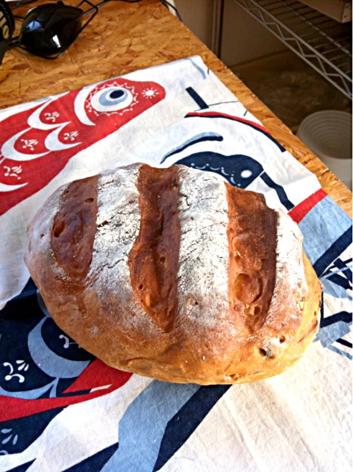 Raisin bread|Tatyana Khingeevaさん