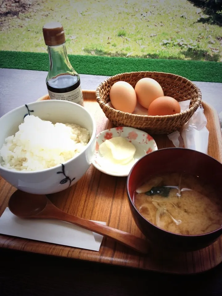 白老たまご館のTKG|ザキさん