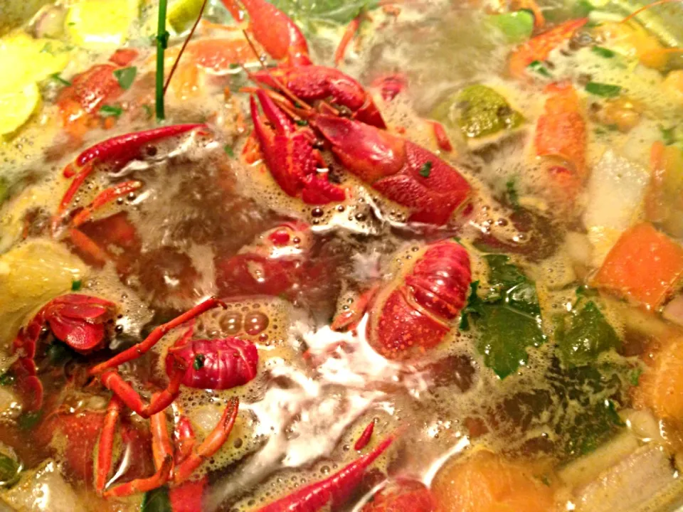 Late night crawfish boil|Kimberly Scottさん