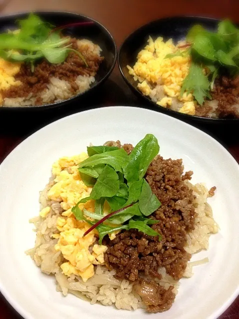 ゴボウご飯の鶏そぼろ丼|shioriさん