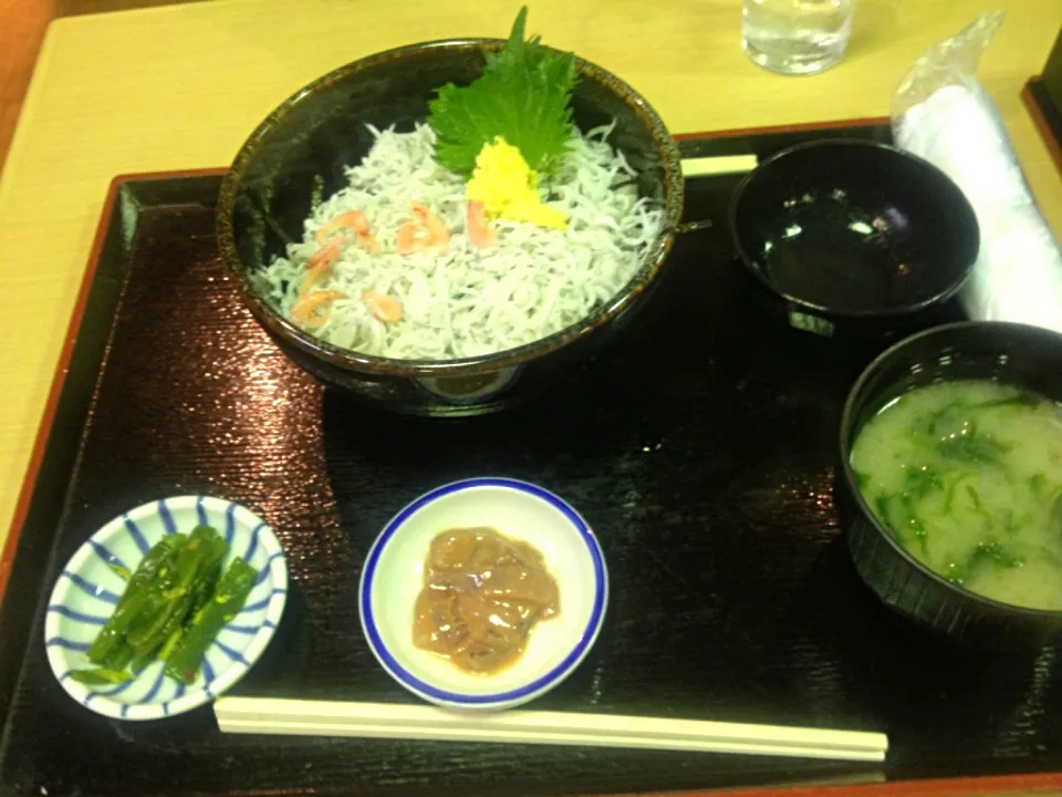 Snapdishの料理写真:釜揚げしらす丼|らるふさん