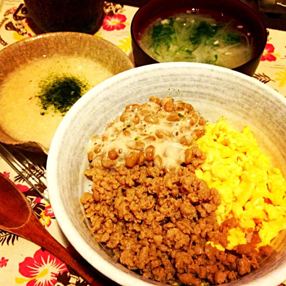 そぼろ丼,とろろ,味噌汁|りーぴんさん