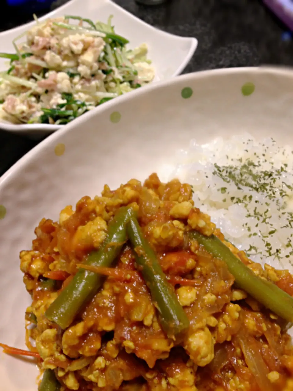 ひき肉とトマトのかつおぶしカレー•水菜と豆腐のサラダ|がぁがさん