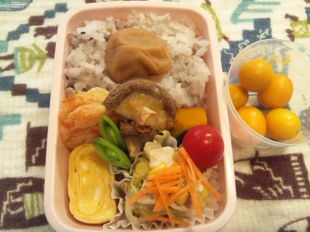 Snapdishの料理写真:4/13 お弁当|まみりんさん